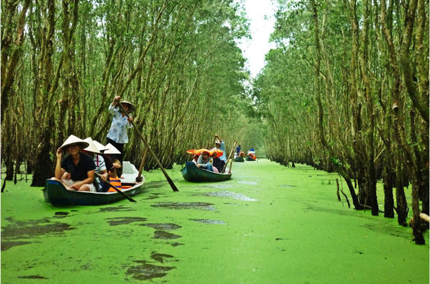Nghị luận về bài hát Đất phương Nam