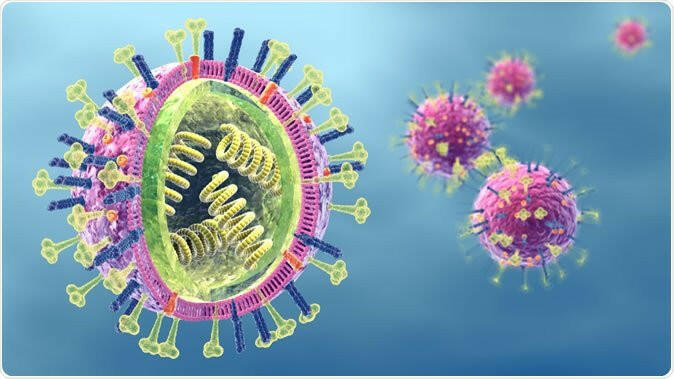 Nguyên nhân nào khiến virus cúm dễ phát sinh ra những chủng virus mới