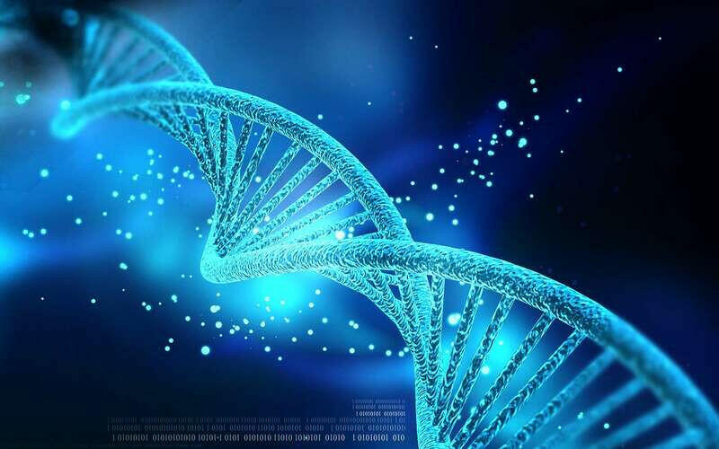 Nhờ quá trình nào mà thông tin trên DNA được di truyền ổn định qua các thế hệ?