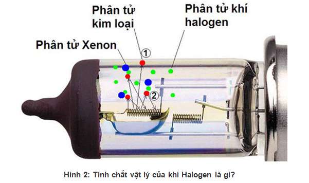 Nhóm halogen bao gồm những nguyên tố nào?  (ảnh 2)