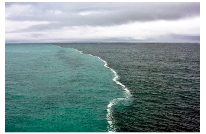 Nơi gặp nhau giữa dòng biển nóng và dòng biển lạnh thường có (ảnh 2)
