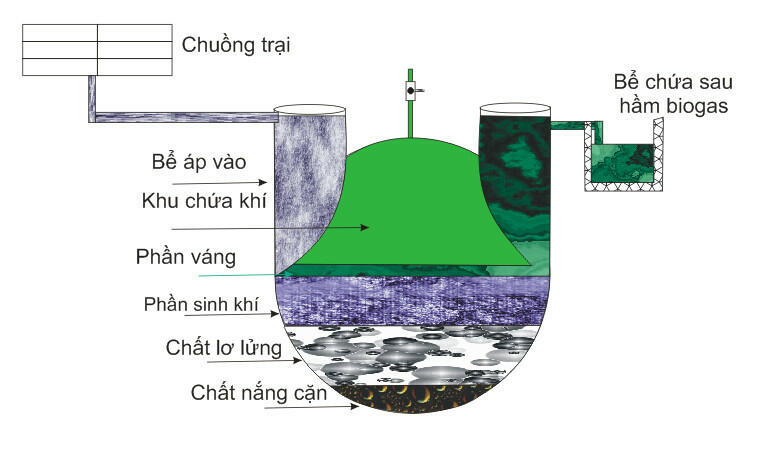 Ở một số vùng nông thôn Việt Nam, người ta cũng sản xuất khí sinh học (biogas) tại các hộ nông dân. Tìm kiếm thông tin và cho biết nông dân ta đã tận dụng những phế phụ phẩm nông nghiệp
