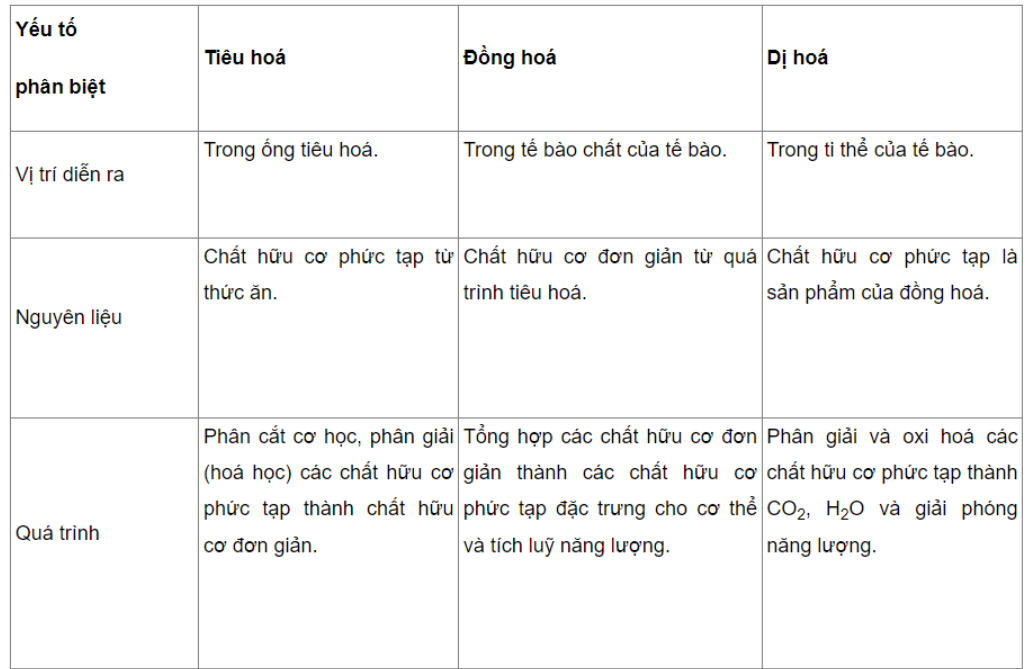 Câu 27.6 trang 87 SBT Sinh học 11: Phân biệt quá trình tiêu hoá và đồng hoá, dị hoá.