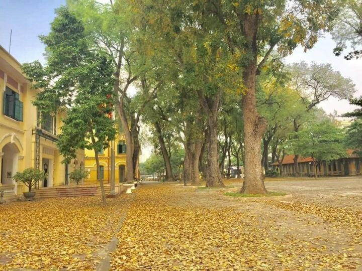 Dàn ý Phân tích bài thơ Nhớ thầy của Trương Đức Thọ