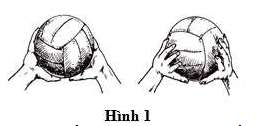 Phân tích kỹ thuật chuyền bóng cao tay bằng hai tay trước mặt (ảnh 2)