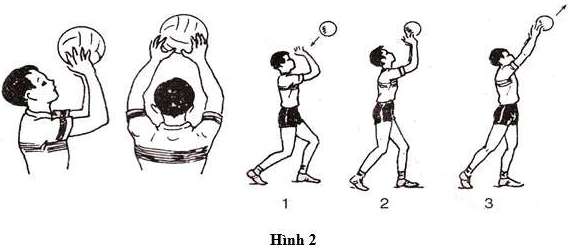 Phân tích kỹ thuật chuyền bóng cao tay bằng hai tay trước mặt (ảnh 3)