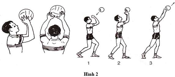 Phân tích kỹ thuật chuyền bóng cao tay trước mặt? (ảnh 3)