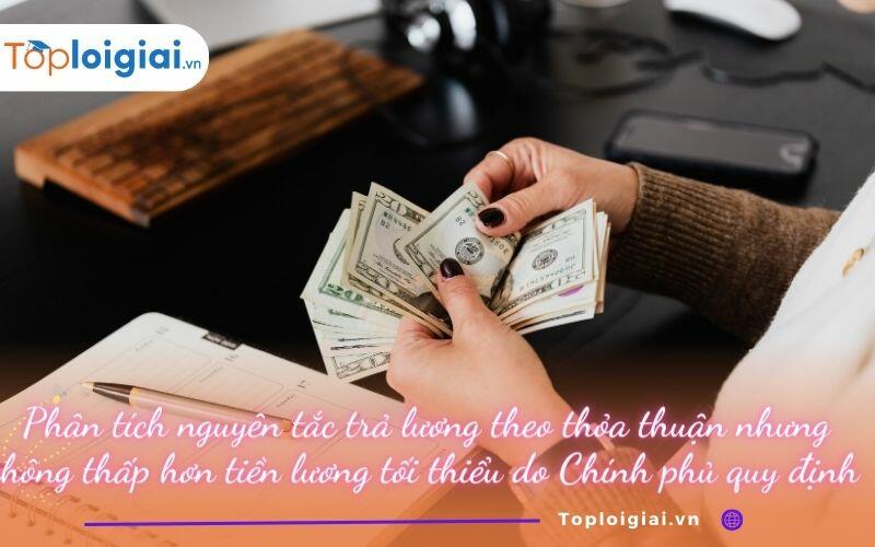 Phân tích nguyên tắc trả lương theo thoả thuận nhưng không thấp hơn tiền lương tối thiểu do Chính phủ quy định