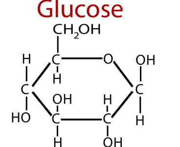 Phân tử glucose có công thức cấu tạo là C6H12O6. Nếu 10 phân tử glucose liên kết với nhau
