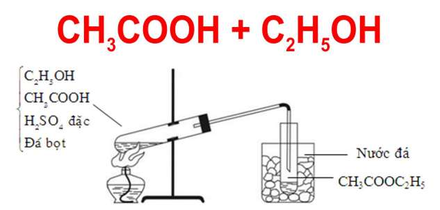 Phản ứng C2H5OH + CH3COOH xảy ra như thế nào?