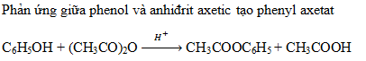 Phenyl axetat được điều chế trực tiếp từ?