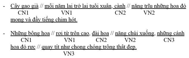 Phiếu bài tập cuối tuần Tiếng Việt lớp 5 Tuần 23 có đáp án