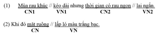 Phiếu bài tập cuối tuần Tiếng Việt lớp 5 Tuần 27 có đáp án (ảnh 3)