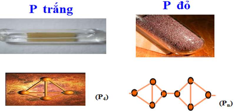 Những phương pháp nào có thể được sử dụng để bảo quản photpho trắng?
