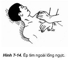 Phương pháp thở và ép ngực (GDQP 11) ảnh 2