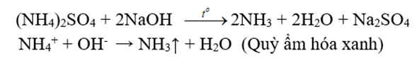 Phương trình hóa học Phenylamoni clorua + NaOH