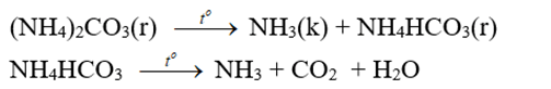 Phương trình hóa học Phenylamoni clorua + NaOH (ảnh 2)