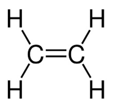 Phương trình phản ứng C2H4 + Br2 (hình 2)