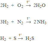 [CHUẨN NHẤT] Phương trình phản ứng triolein + H2 (ảnh 4)