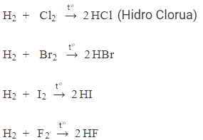 [CHUẨN NHẤT]                Phương trình phản ứng triolein + H2 (ảnh 5)