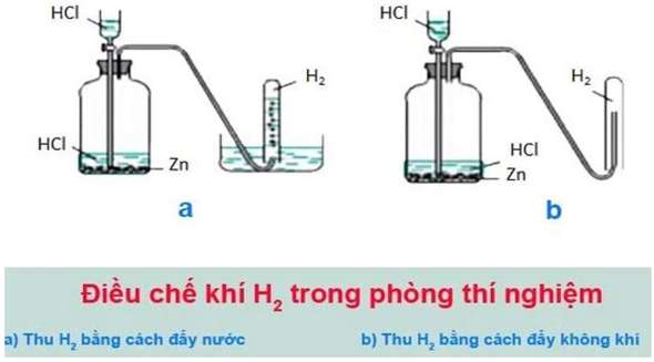 [CHUẨN NHẤT] Phương trình phản ứng triolein + H2 (ảnh 7)