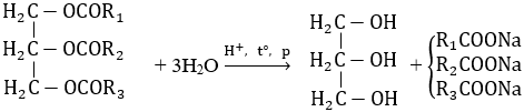[CHUẨN NHẤT]                Phương trình phản ứng triolein + NaOH (ảnh 2)