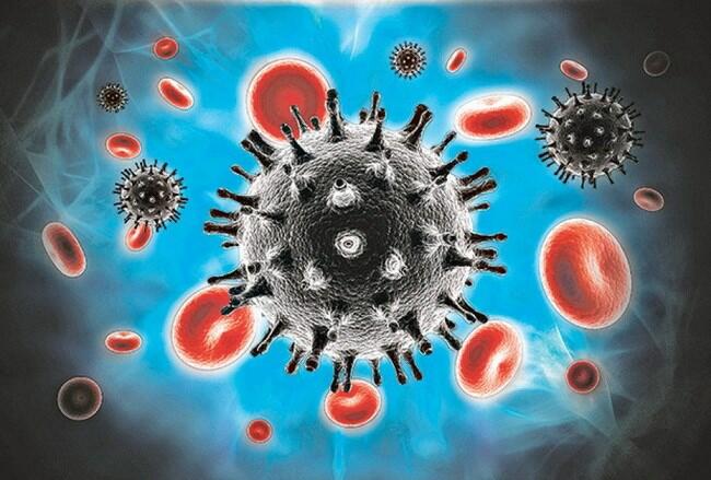 Quá trình nhân lên của virut trong tế bào chủ