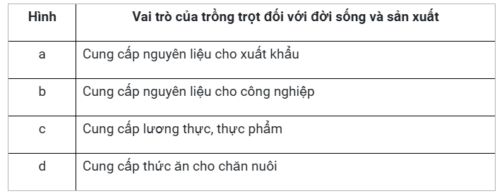 Quan Sát Các Hình ảnh Dưới đây Và điền Vai Trò Của Trồng Trọt Trong Mỗi