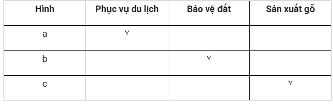 Quan Sát Các Hình ảnh Và đánh Dấu ٧ Vào Cột ứng Với Vai Trò Của Rừng