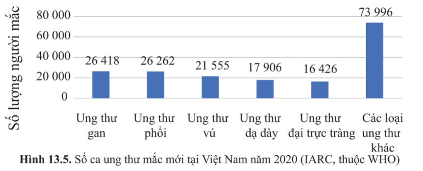 Quan sát hình 13.5, nêu khái quát tình hình ung thư tại Việt Nam năm 2020 và rút ra nhận xét.