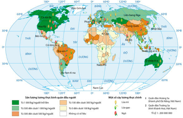 Quan sát hình 21.1, hãy nhận xét và giải thích sự phân bố các cây lương thực chính trên thế giới