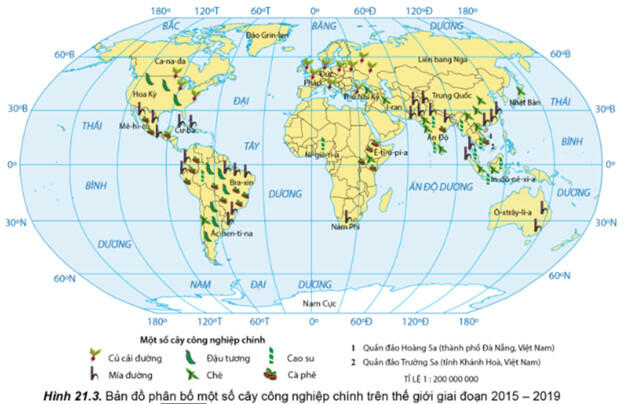 Quan sát hình 21.3, hãy nhận xét và giải thích sự phân bố các cây công nghiệp chính trên thế giới