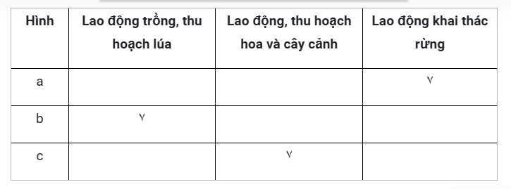 Quan Sát Hình ảnh Minh Họa Hoạt động Của Các Nghề Và đánh Dấu ٧ Vào Cột