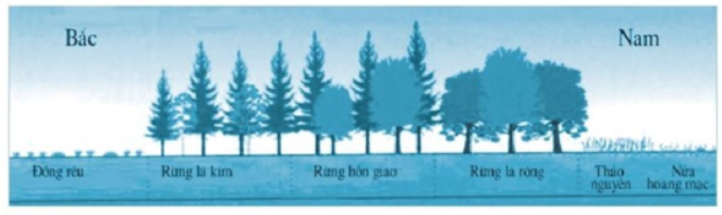 Bài tập 7 trang 8 SBT Địa lí 7: Quan sát hình dưới đây và dựa vào kiến thức đã học, hãy: Nhận xét sự thay đổi của thảm thực vật từ bắc xuống nam ở Đông Âu.