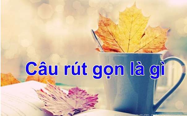 Rút gọn câu là gì?