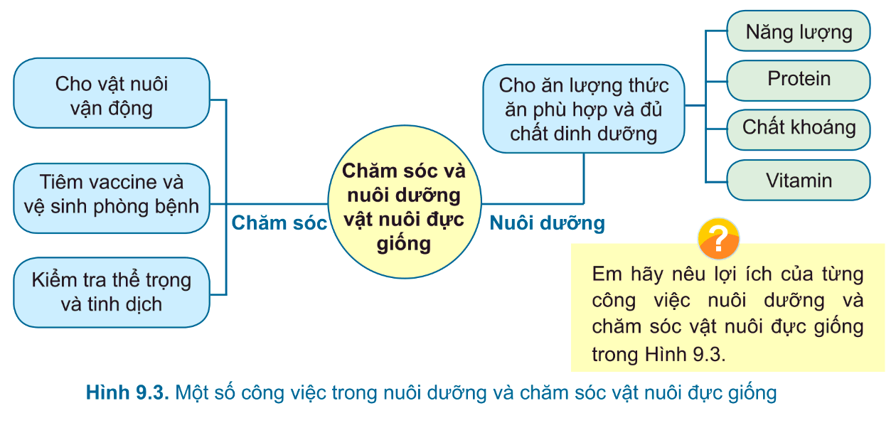 [Sách mới] Lý thuyết Công nghệ 7 Bài 9 CTST: Một số phương thức chăn nuôi ở Việt Nam
