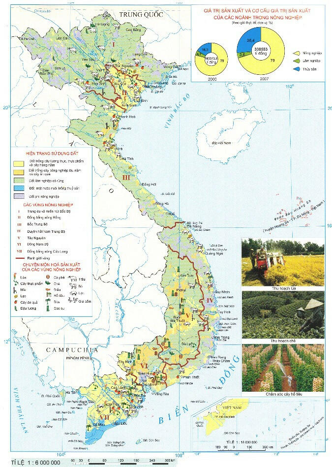 [Sách mới] Lý thuyết Địa 10 Bài 26 Kết nối tri thức: Tổ chức lãnh thổ nông nghiệp, một số vấn đề phát triển nông nghiệp hiện đại trên thế giới và định hướng phát triển nông nghiệp trong tương lai