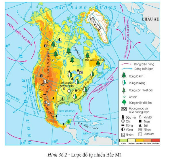 [Sách mới] Lý thuyết Địa 7 Bài 14 Chân trời sáng tạo: Thiên nhiên và dân cư, xã hội Bắc Mỹ