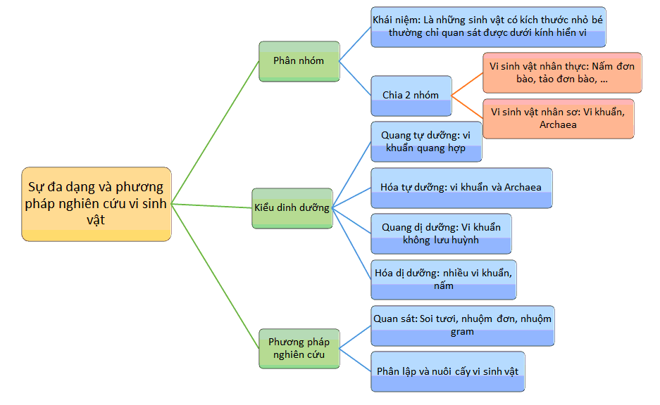 Sơ đồ tư duy Sinh 10 bài 20: Sự đa dạng và phương pháp nghiên cứu vi sinh vật