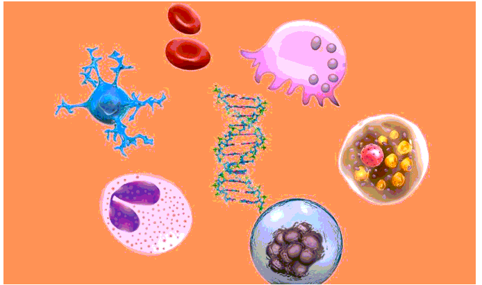 [Sách mới] Trắc nghiệm Sinh học 10 Bài 4 CTST: Khái quát về tế bào
