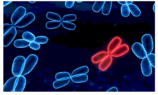 [Sách mới] Trắc nghiệm Sinh học 10 Bài 5 Kết nối tri thức: Các phân tử sinh học