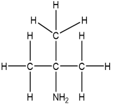 Số amin bậc một có cùng công thức phân tử C3H9N (ảnh 9)