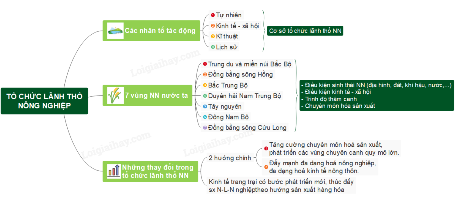 Sơ đồ tư duy Địa lí 12 Bài 13 Tổ chức lãnh thổ nông nghiệp