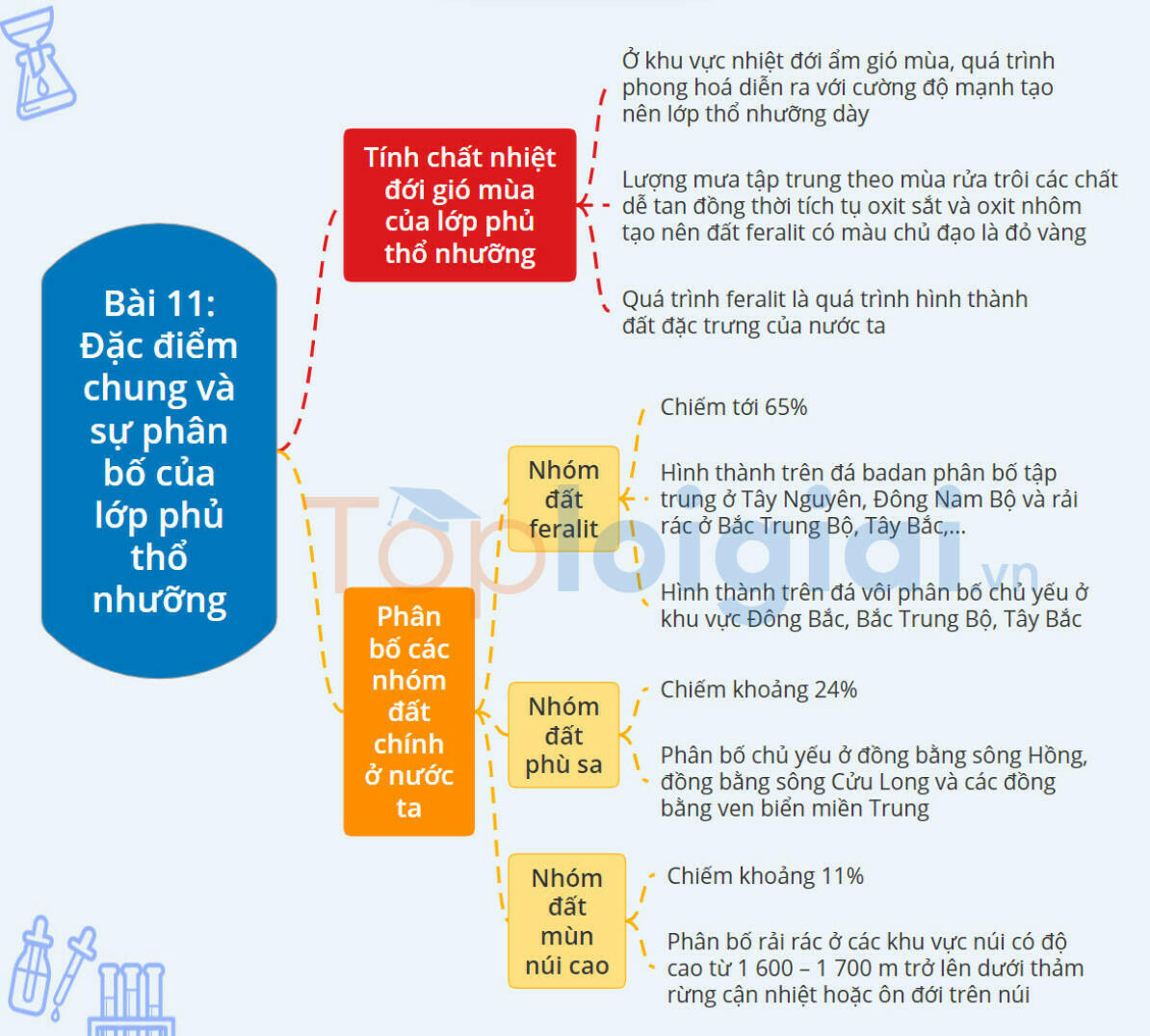Sơ đồ tư duy Địa lí 8 Chân trời sáng tạo Bài 11: Đặc điểm chung và sự phân bố của lớp phủ thổ nhưỡng