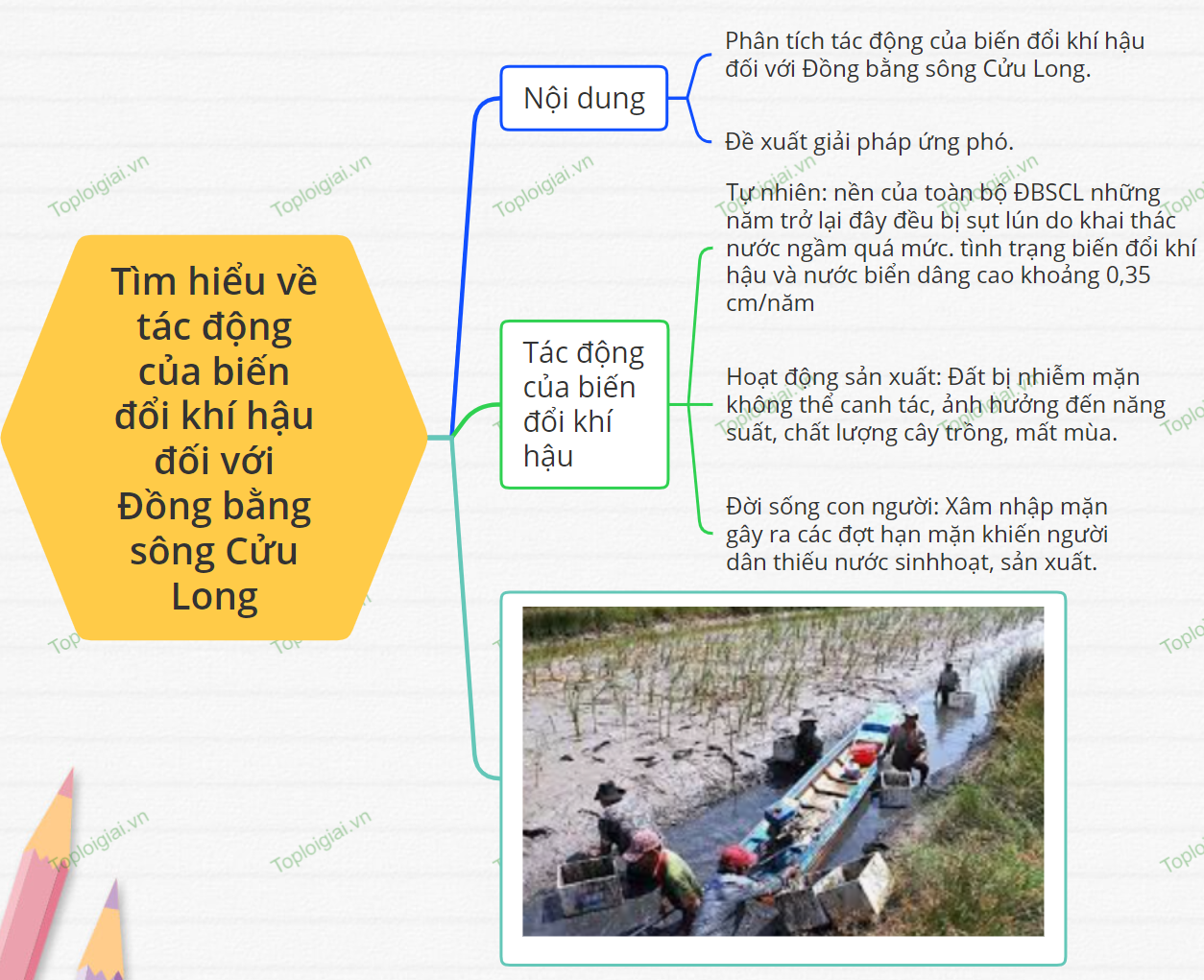 Sơ đồ tư duy Địa lí 9 KNTT bài 21 Thực hành Tìm hiểu về tác động của biến đổi khí hậu đối với Đồng bằng sông Cửu Long