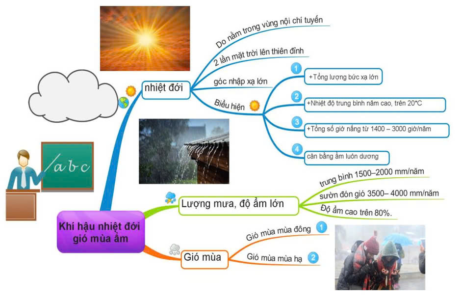 Sơ đồ tư duy Địa lý 12 bài 2: Thiên nhiên nhiệt đới ẩm gió mùa (ảnh 1)
