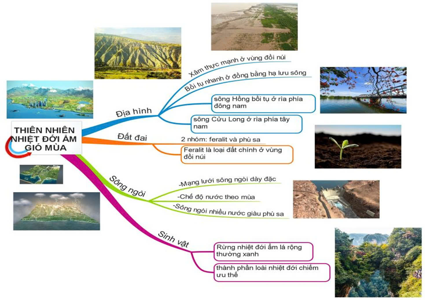 Sơ đồ tư duy Địa lý 12 bài 2: Thiên nhiên nhiệt đới ẩm gió mùa (ảnh 3)