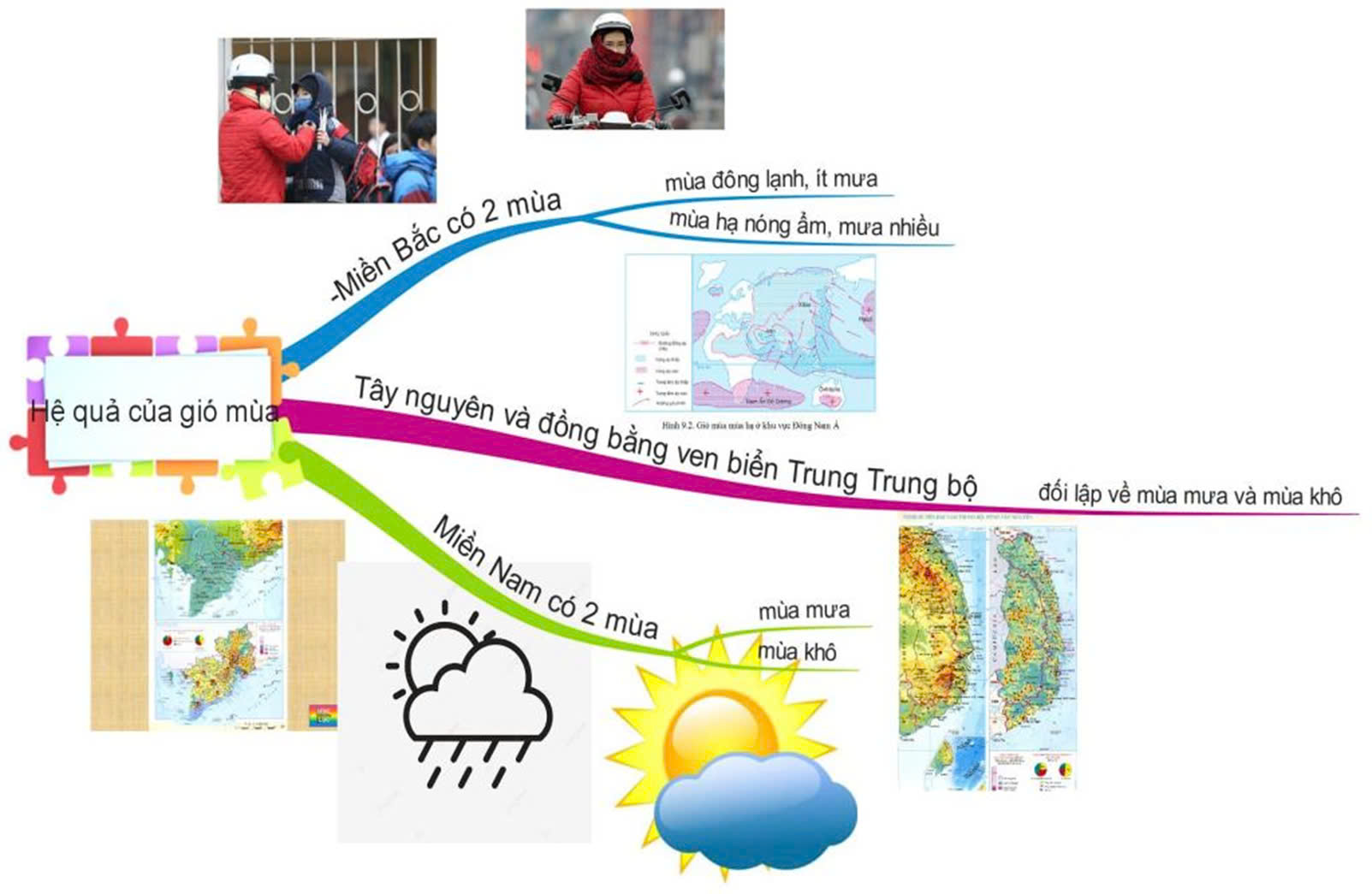 Sơ đồ tư duy Địa lý 12 bài 2: Thiên nhiên nhiệt đới ẩm gió mùa (ảnh 4)