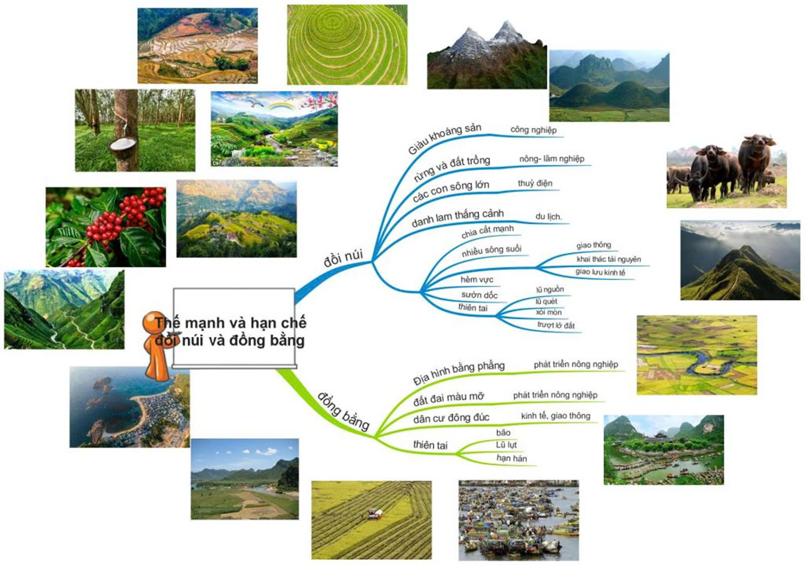 Sơ đồ tư duy Địa lý 12 bài 3 Sự phân hóa đa dạng của thiên nhiên (ảnh 2)