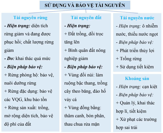 Sơ đồ tư duy Địa lý 12 bài 8: Đô thị hóa (ảnh 1)